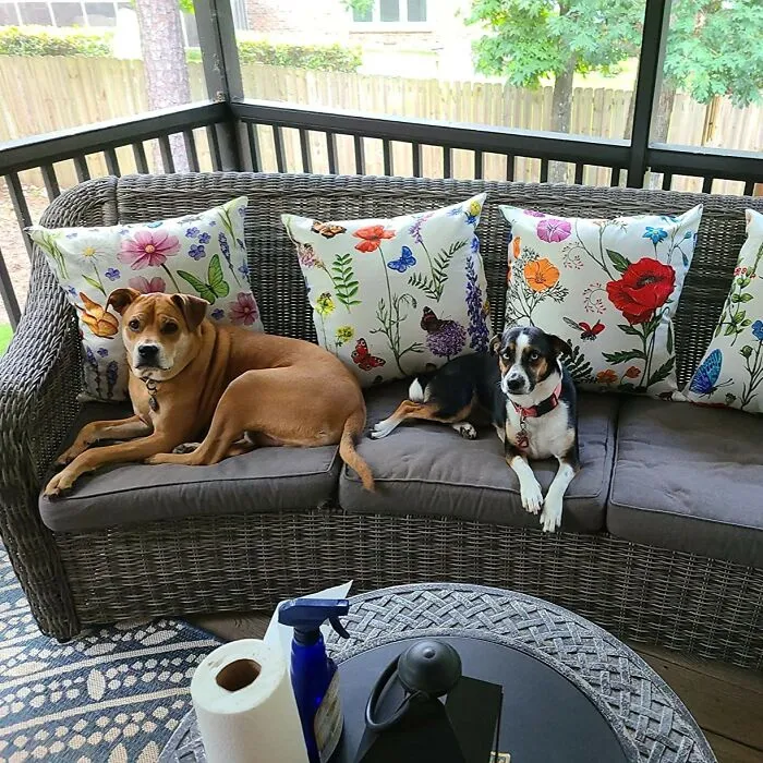 Bring The Blossoms Out: <span Style="Font:inherit;color:#d74b1f;"> Pillow Covers By All Smiles</Span> For Patio Perfection!