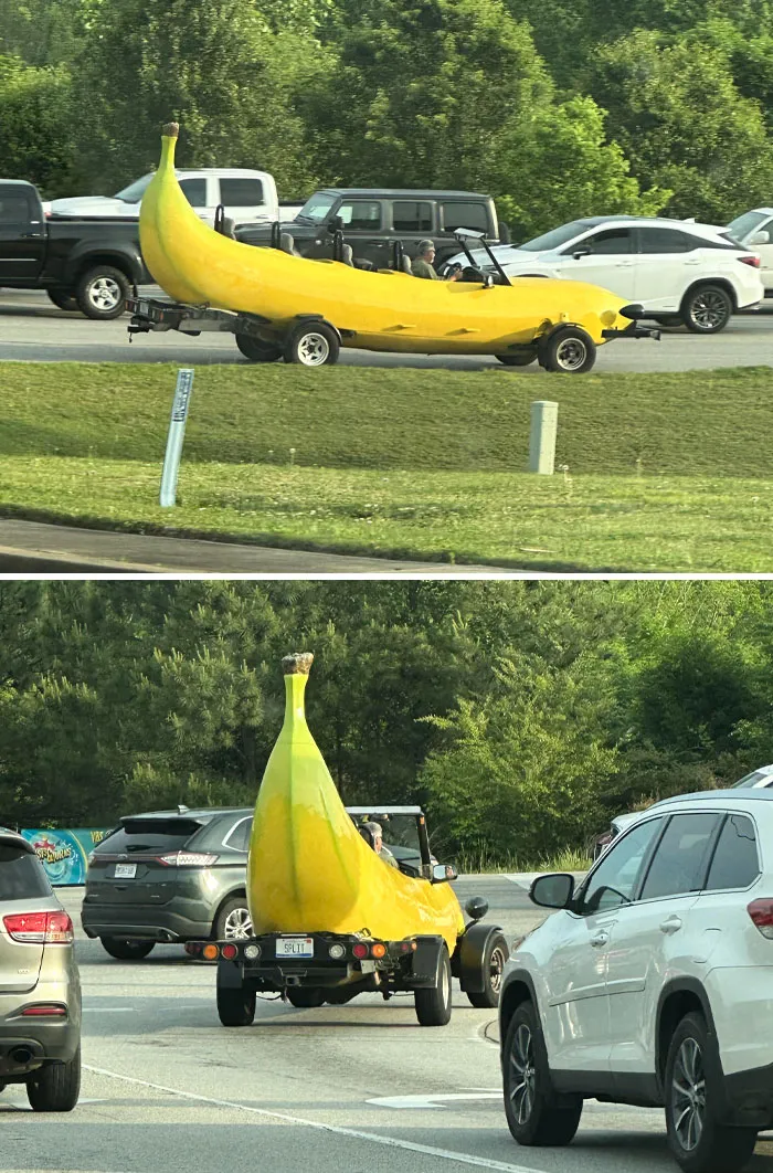 Spotted Yesterday