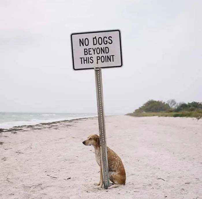 50 Signs That Are Poorly Placed, Badly Designed Or Simply Funny, Shared In This FB Group