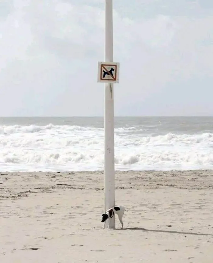 50 Signs That Are Poorly Placed, Badly Designed Or Simply Funny, Shared In This FB Group