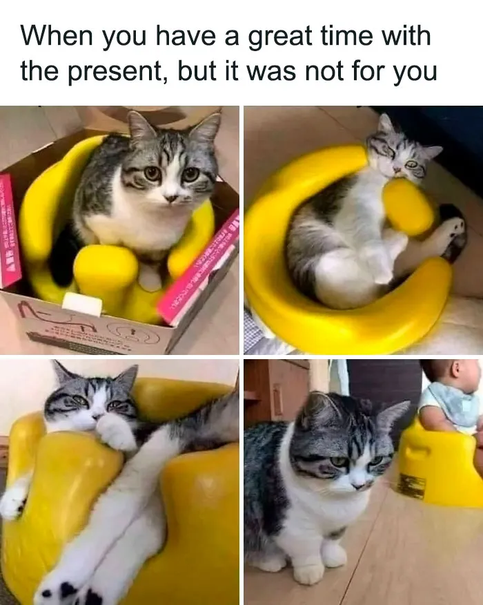 Bumbo Envy