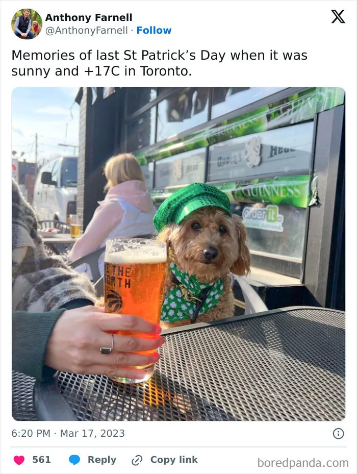 This Is An Adorable Outfit For The Dog