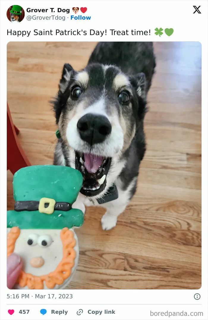 That Treat Looks Delicious