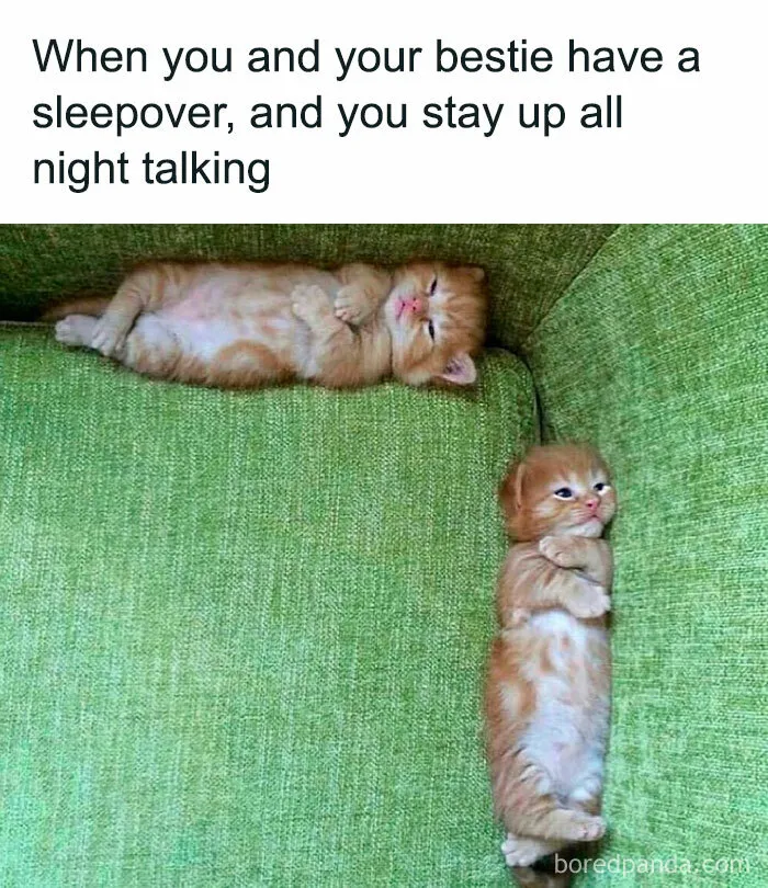 50 Hilariously Relatable Memes About Almost Everything, Courtesy Of This Facebook Group