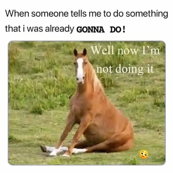 50 Hilariously Relatable Memes About Almost Everything, Courtesy Of This Facebook Group