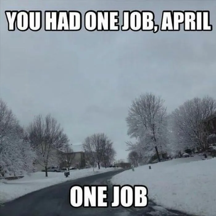 Funny spring meme with snowy trees and the text "You had one job, April, one job."