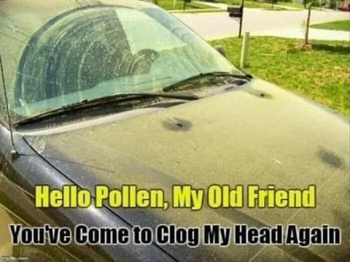 37 Funny Memes To Welcome Spring With All Its Joys And Flaws