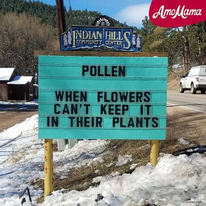 37 Funny Memes To Welcome Spring With All Its Joys And Flaws