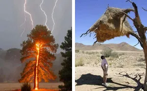 This Facebook Group Shares Strange Things About The World, And Here Are 50 Of The Best Pics
