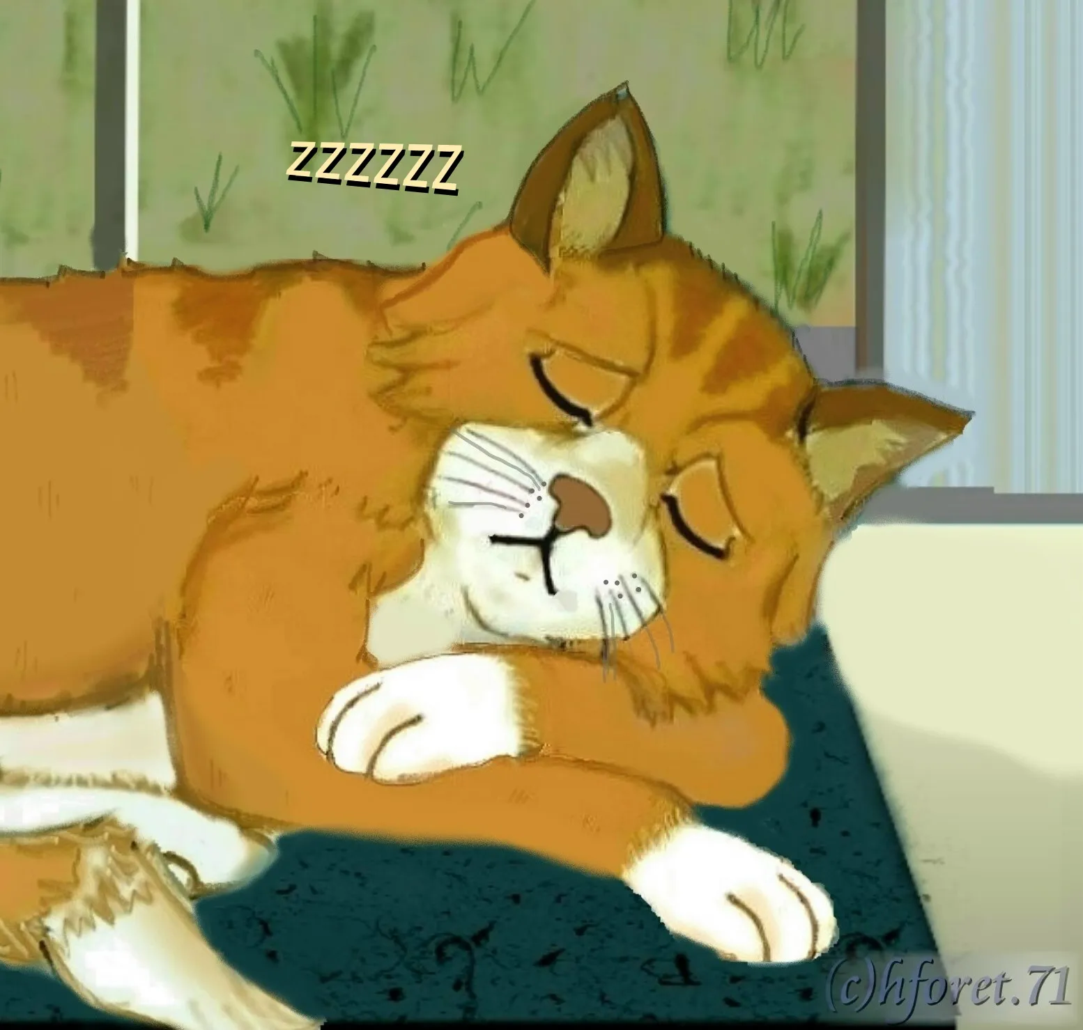 "I'm A Cat..."