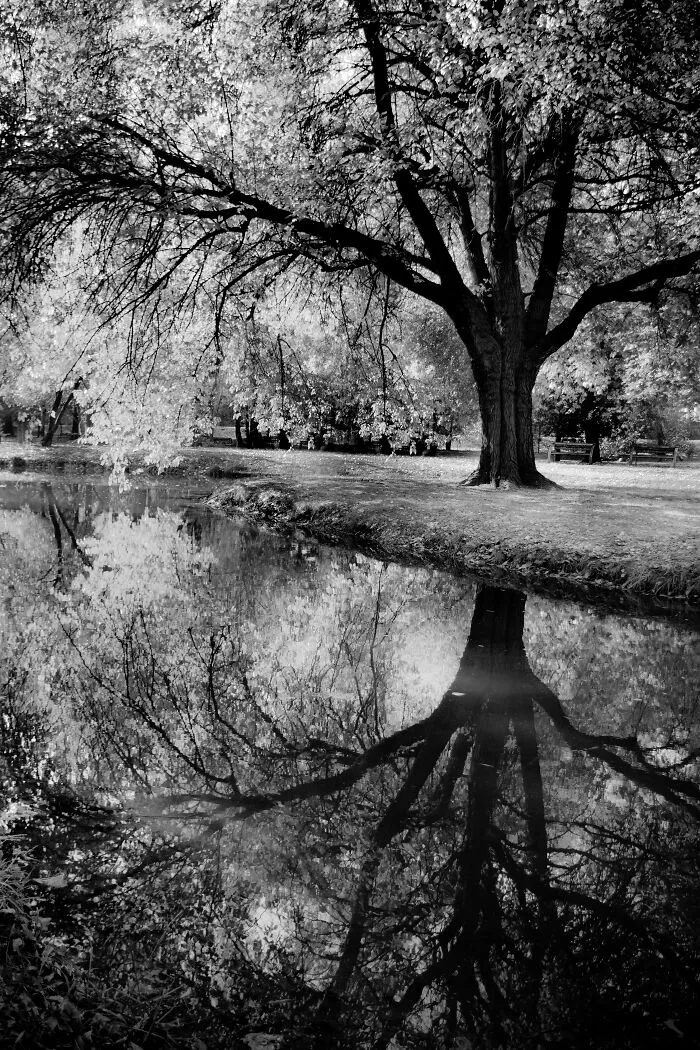 My Favorite Black-And-White Photos I’ve Taken In The Last 18 Years (23 Pics)