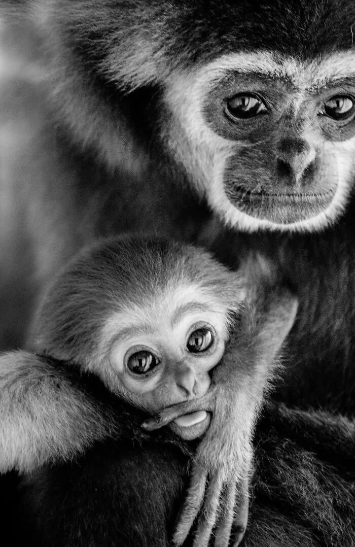 My Favorite Black-And-White Photos I’ve Taken In The Last 18 Years (23 Pics)