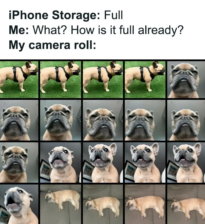 50 Random Memes To Entertain You While You Procrastinate