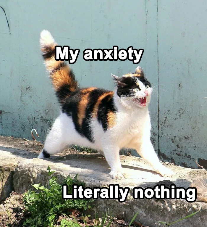 50 Relatable Memes About Mental Health That Even Your Therapist Might Find Funny