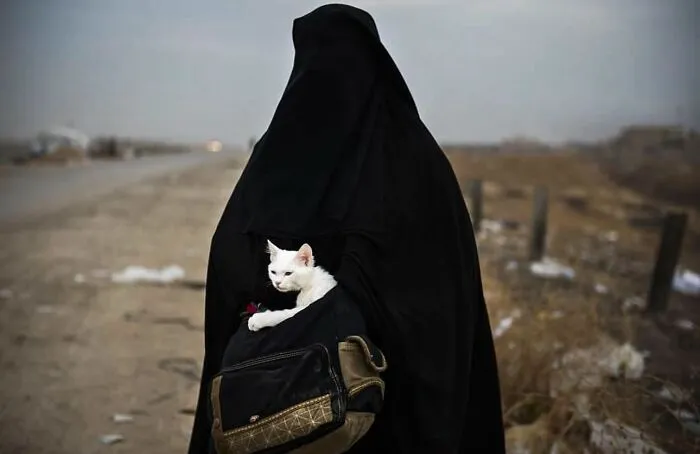 Amusing Urban Life: 30 Pictures Shared On This Instagram Account (New Pics)