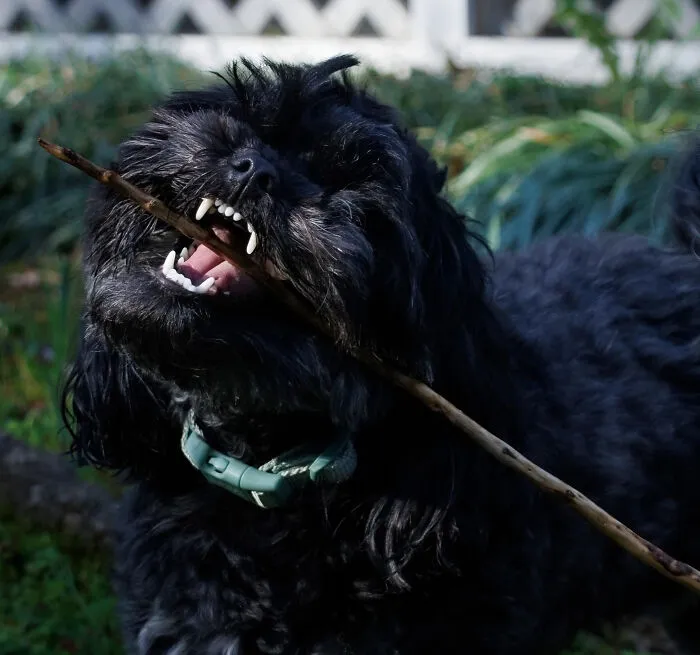 Stick Life