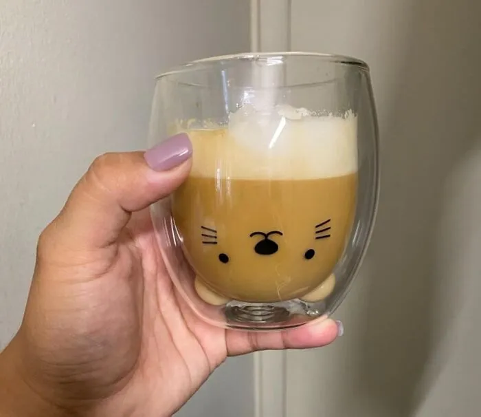 Sip Your Favorite Beverage In Style With <span Style="Font:inherit;color:#d74b1f;"> Bear Cute Double-Wall Glass Mugs</Span>