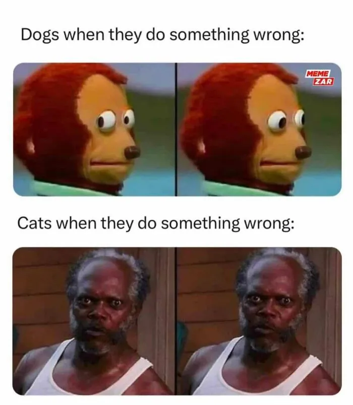 50 Hilariously Wholesome Dog Memes To Brighten Up Your Day
