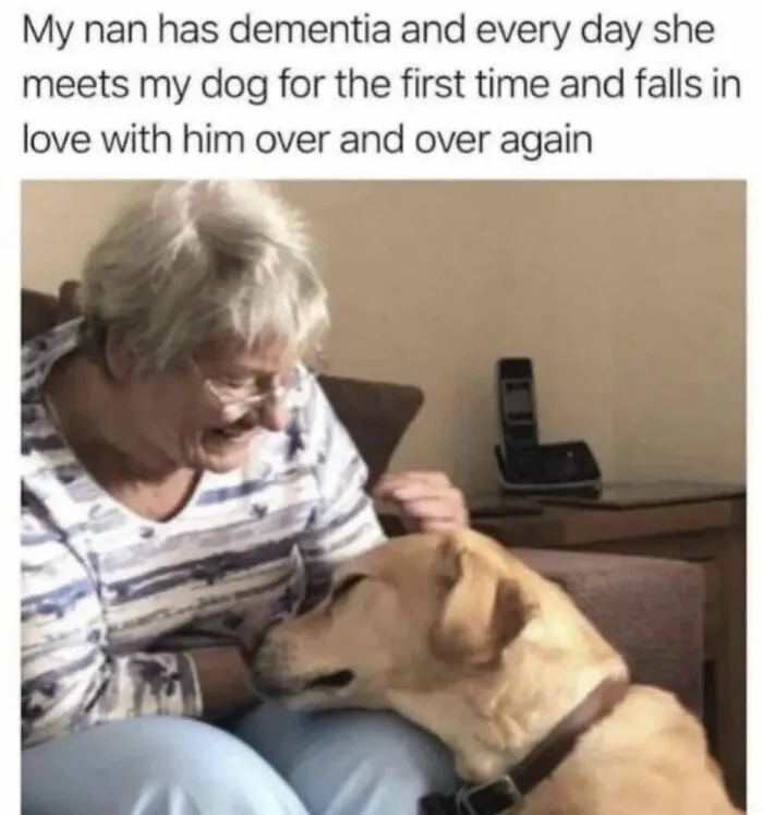 50 Hilariously Wholesome Dog Memes To Brighten Up Your Day