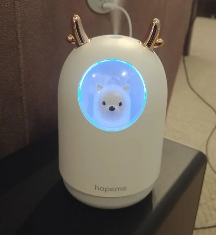 Bring Adorable Moisture To Your Space With A Cute <span Style="Font:inherit;color:#d74b1f;"> Pet Humidifier</Span>