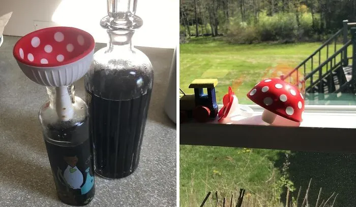 From Pot To Pot:<span Style="Font:inherit;color:#d74b1f;"> The Mushroom Funnel’s </Span> Liquid Hop