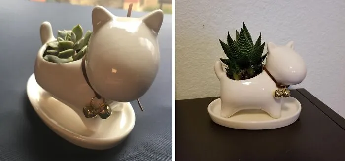 Charming <a Style="Display:inline;" Href="Https://Www.amazon.com/Youfui-Succulent-Planter-Animal-Shaped/Dp/B01jgcmhw6?crid=d2mk2c6oztyc&dib=eyj2ijoimsj9.rc6xv8awtxmzzurqn70cjrhli_dsjylgpgvivy6iwypownrop2rkkpl3ne_sx2tsgx9uqwndj3w4lsggckskopcb7hxszwkxrxvqx5j5rzcrph1ktsgfaa7jyhr5ersypkagbd7vuphgq6aunzj3qtk0zcmi20l011jgj3qp3govfwi6d854zr0izr0ikkda-Qamuewtdnxxruqqoyprstbawlw0p6bhm89vj839kxvpzvksqccmwxbnhhg-Mxg0xk9ola1dw0fbf8vp6pslxzrmzpud0mduo_dvzupo73u.szaq0bpysumwr4hcpnpixkais0wttqb48fxbuj6z1ne&dib_tag=se&keywords=bread+shaped+flower+pot&qid=1712061173&sprefix=bread+shape+flower+pot%2caps%2c173&sr=8-4&linkcode=ll1&tag=bpbobcat-20&linkid=ed2a593a82e2b5525192ea082dbb8af4&language=en_us&ref_=as_li_ss_tl" Target="_blank"><span Style="Font:inherit;color:#d74b1f;"> Animal Shaped Flower Pot</Span> Decor To Infuse Playful Elegance Into Your Indoor Haven
