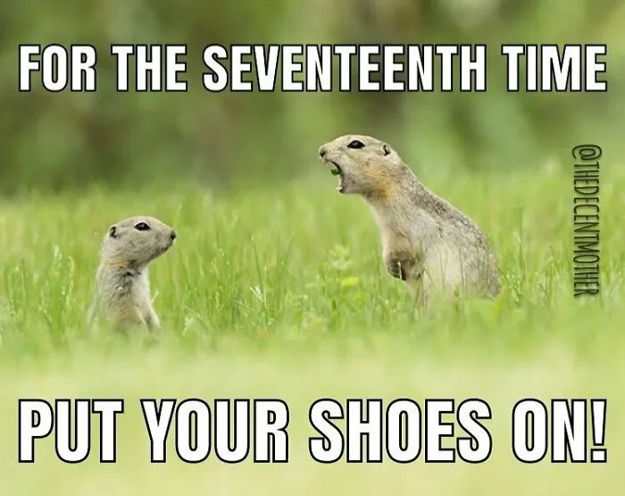 50 Of The Funniest Mom Jokes And Memes Shared By This Dedicated Instagram Page