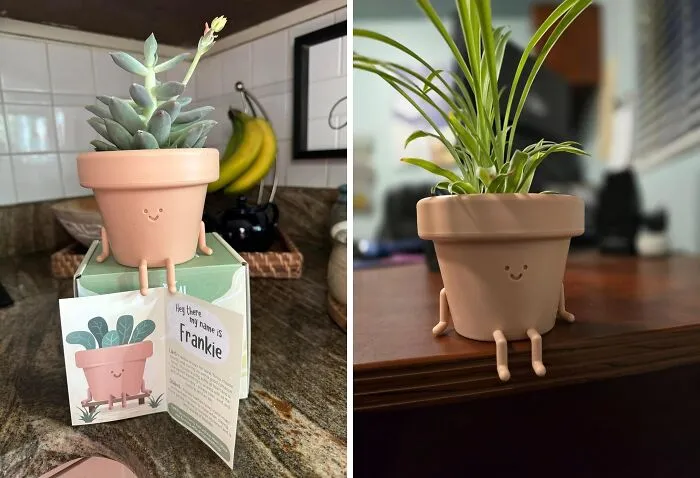 Flower Power With A Twist:<span Style="Font:inherit;color:#d74b1f;"> The Face-Off Planter</Span>