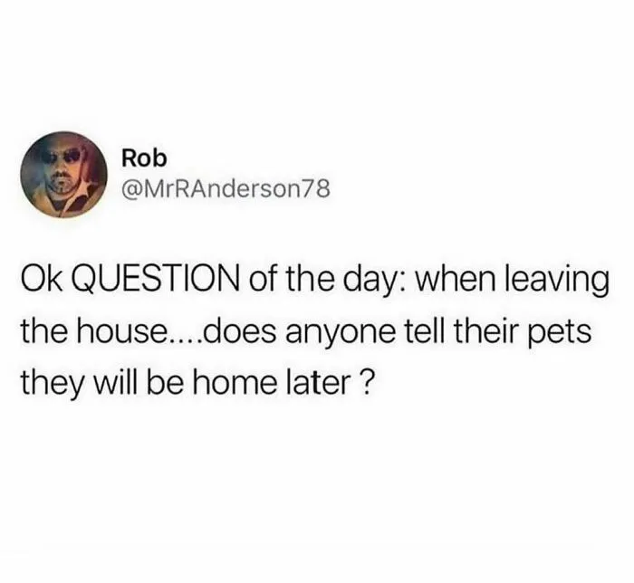 50 Random Memes To Entertain You While You Procrastinate