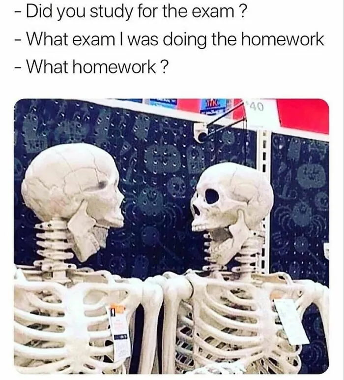 50 Random Memes To Entertain You While You Procrastinate