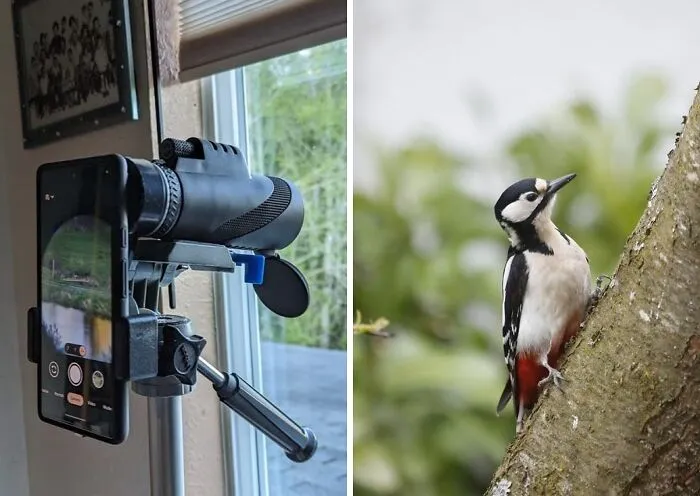 Unlock Nature's Secrets: <span Style="Font:inherit;color:#d74b1f;"> High-Def Monocular</Span> For Ultimate Exploration!