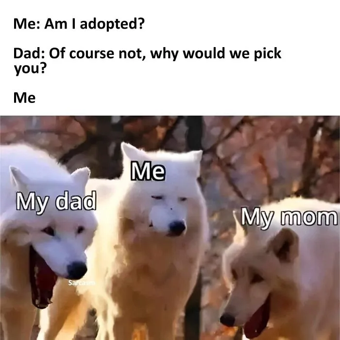 The ‘Sarcasm’ Facebook Page Shares Hilarious Memes, And Here Are 40 Of The Best Ones