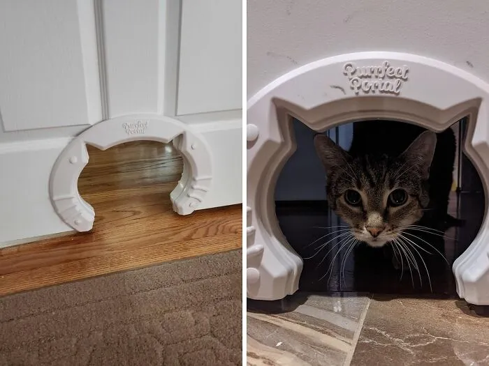 Provide Freedom For Your Feline Friend With A <a Style="Display:inline;" Href="Https://Www.amazon.com/Dp/B08lp287j4?psc=1&pd_rd_i=b08lp287j4&pd_rd_w=jksr3&content-ID=amzn1.sym.953c7d66-4120-4d22-A777-F19dbfa69309&pf_rd_p=953c7d66-4120-4d22-A777-F19dbfa69309&pf_rd_r=26rpw4bx0794ytbs4xvw&pd_rd_wg=g5jbu&pd_rd_r=656d7577-A90e-4228-BF90-6163885f2506&s=home-Garden&sp_csd=d2lkz2v0tmftzt1zcf9kzxrhawwy&linkcode=ll1&tag=bporca-20&linkid=6aa5d4f4acd06ea25bbfe52b45295bef&language=en_us&ref_=as_li_ss_tl" Target="_blank"><span Style="Font:inherit;color:#d74b1f;"> Cat Door</Span> Built Into Your Interior