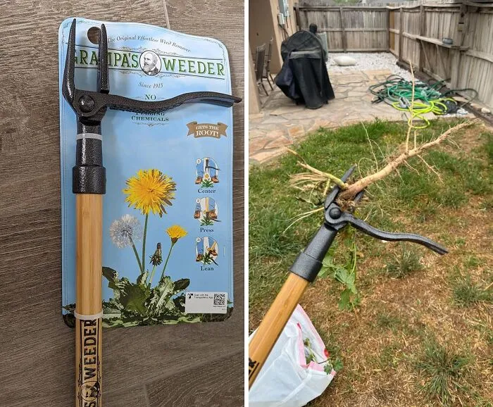 Stand Tall & Weed: <span Style="Font:inherit;color:#d74b1f;"> Grampa's Weeder</Span>, Your No-Bend Solution To Garden Pests!