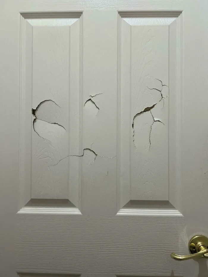 How Do I Go About Repairing This Door?