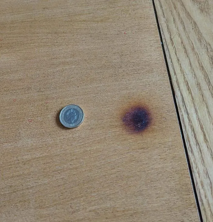 Landlord's Table. What Can I Do? How Screwed Am I? Coin For Scale