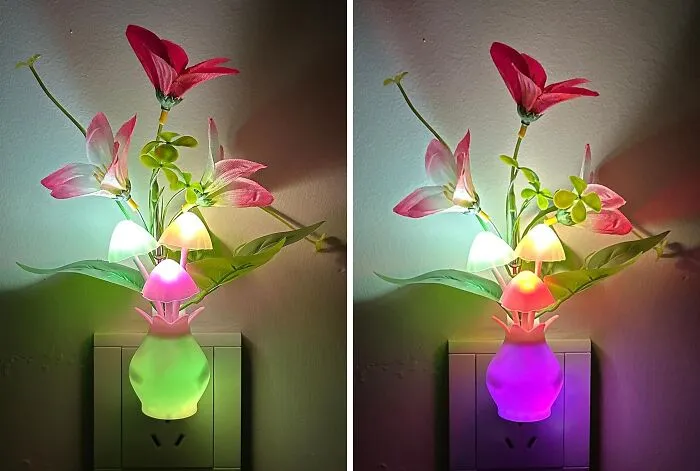 Give Your Room The Kind Of Glow That Suggests A Gnome Might Be Your Secret Roommate With This <a Style="Display:inline;" Href="Https://Www.amazon.com/Dp/B0bqfxp7fv?psc=1&pf_rd_p=edeb0a3c-9e06-48d9-B1e4-E035133e7101&pf_rd_r=s37vrp7p00ctxgd5jryc&sp_csd=d2lkz2v0tmftzt1zcf9kzxrhawxfdghlbwf0awm&pd_rd_w=vj79y&content-ID=amzn1.sym.edeb0a3c-9e06-48d9-B1e4-E035133e7101&pd_rd_wg=sbon6&pd_rd_r=164705e3-064b-41ee-Be90-B3a795ee5be1&pd_rd_i=b0bqfxp7fv&linkcode=ll1&tag=bpbobcat-20&linkid=579974290b72b4904604be18c025b135&language=en_us&ref_=as_li_ss_tl" Target="_blank">  <a Style="Display:inline;" Href="Https://Www.amazon.com/Dp/B0bqfxp7fv?psc=1&pf_rd_p=edeb0a3c-9e06-48d9-B1e4-E035133e7101&pf_rd_r=s37vrp7p00ctxgd5jryc&sp_csd=d2lkz2v0tmftzt1zcf9kzxrhawxfdghlbwf0awm&pd_rd_w=vj79y&content-ID=amzn1.sym.edeb0a3c-9e06-48d9-B1e4-E035133e7101&pd_rd_wg=sbon6&pd_rd_r=164705e3-064b-41ee-Be90-B3a795ee5be1&pd_rd_i=b0bqfxp7fv&linkcode=ll1&tag=bpbobcat-20&linkid=579974290b72b4904604be18c025b135&language=en_us&ref_=as_li_ss_tl" Target="_blank">  <span Style="Font: Inherit; Color: #d74b1f;"> Mushroom Night Light </Span>