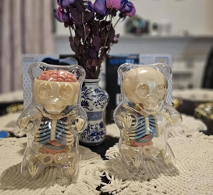 The Vital Part Of Life We Were Missing: <span Style="Font:inherit;color:#d74b1f;"> Gummi Bear  Model Kit</Span>, Clear. Who Knew Gummy Snacks Had Bones?