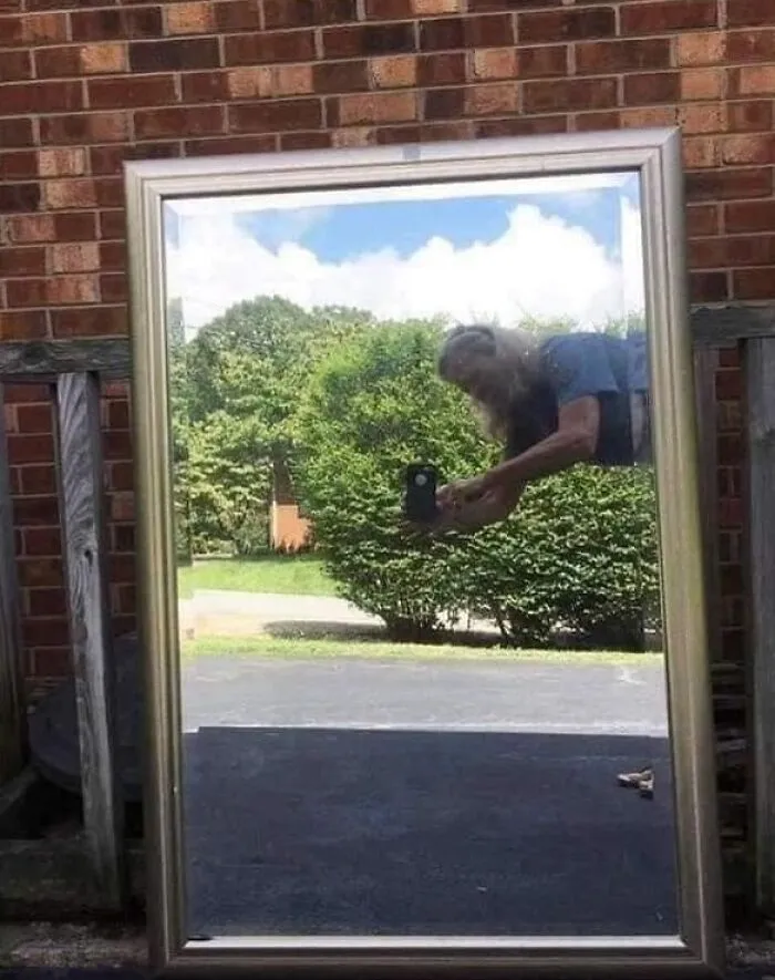 Flying Lady
