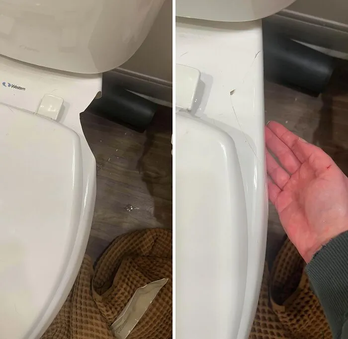 Cat Broke Toilet, Can It Be Fixed?