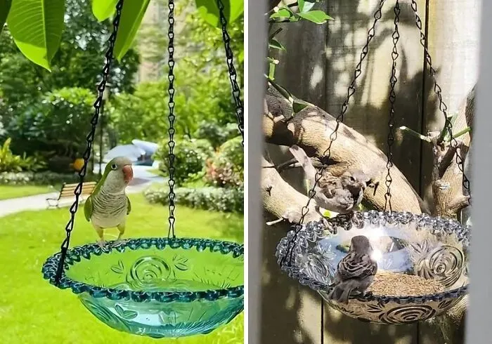 From Hummingbirds To Sparrows: A <span Style="Font:inherit;color:#d74b1f;"> Hanging Bird Feeder</Span> Invites All Cute Birds To Your Garden!