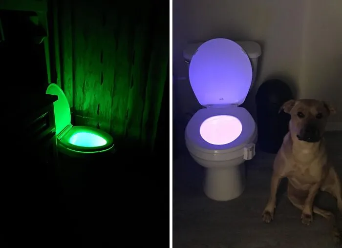 Seat Shine: <span Style="Font:inherit;color:#d74b1f;"> The LED Toilet Light </Span> For Midnight Missions