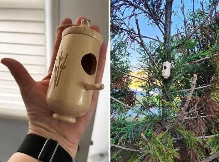 Watch Hummingbirds Settle In With This Charming Little Garden <span Style="Font:inherit;color:#d74b1f;"> Nesting House </Span>