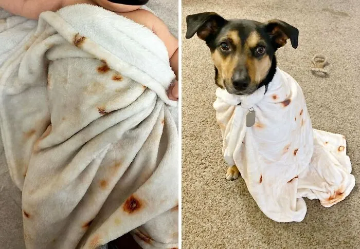 Wrap Your Little Burrito In A <span Style="Font:inherit;color:#d74b1f;"> Tortilla Blanket</Span> For Tasty Baby Dreams!