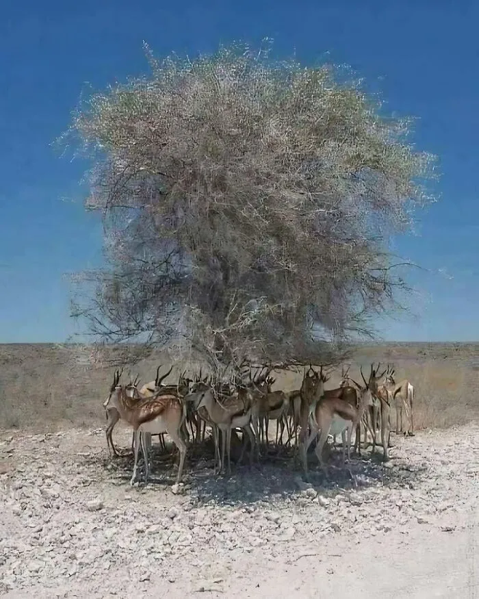 The Value Of One Single Tre