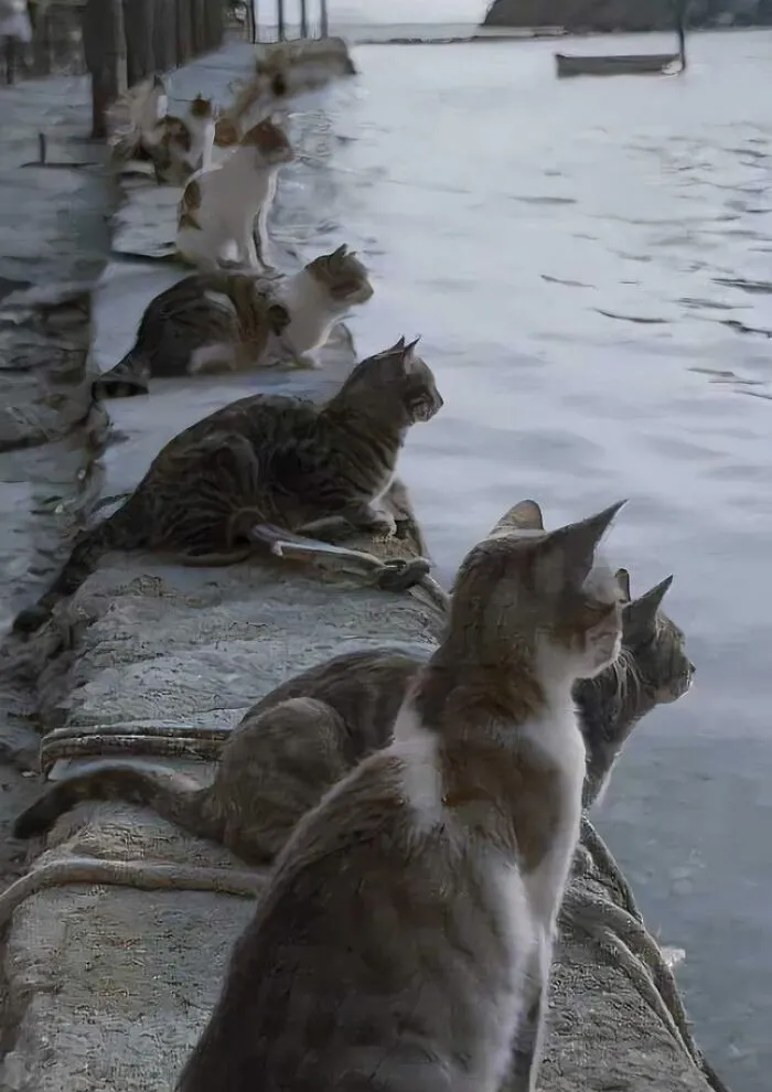 Waiting For The Return Of The Fishermen