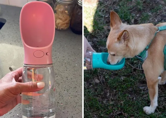 Quench Your Pup's Thirst Anywhere With <span Style="Font:inherit;color:#d74b1f;"> The Dog Water Bottle</Span>: Your Trusty Hydration Solution For Furry Picnic Companions