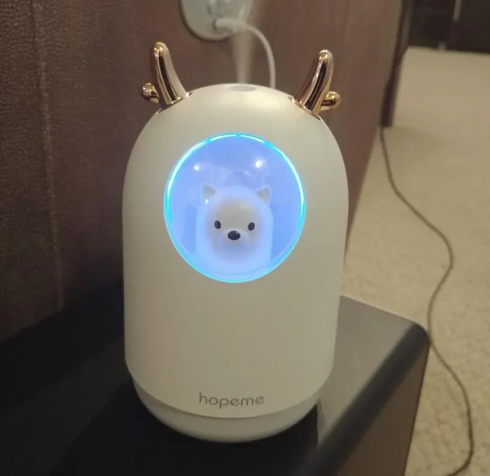 Experience Customized Comfort With <span Style="Font:inherit;color:#d74b1f;"> A Humidifier</Span> With Adjustable Mist Mode: Control Humidity Levels For Optimal Air Quality