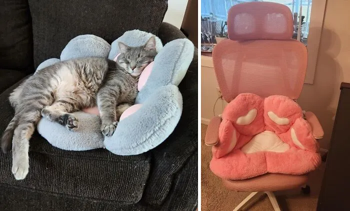 Cuddle Up With A <a Style="Display:inline;" Href="Https://Www.amazon.com/Cushion-Pillow-Bedroom-Comfort-Building/Dp/B09bzp6wc7?_encoding=utf8&pd_rd_w=jy3jt&content-ID=amzn1.sym.3c3990c3-513c-4686-8d92-A42b4095cecb%3aamzn1.symc.8b620bc3-61d8-46b3-Abd9-110539785634&pf_rd_p=3c3990c3-513c-4686-8d92-A42b4095cecb&pf_rd_r=v1sdr49fe4w6pvn56eww&pd_rd_wg=lpuh6&pd_rd_r=b260e1dd-5d04-4c96-A1df-23c90ebcd352&th=1&linkcode=ll1&tag=bpmoose-20&linkid=24cac2c7711016958b330291db744f55&language=en_us&ref_=as_li_ss_tl" Target="_blank"><span Style="Font:inherit;color:#d74b1f;"> Cat Paw Cushion</Span>: Paw-Sitively Comfy!