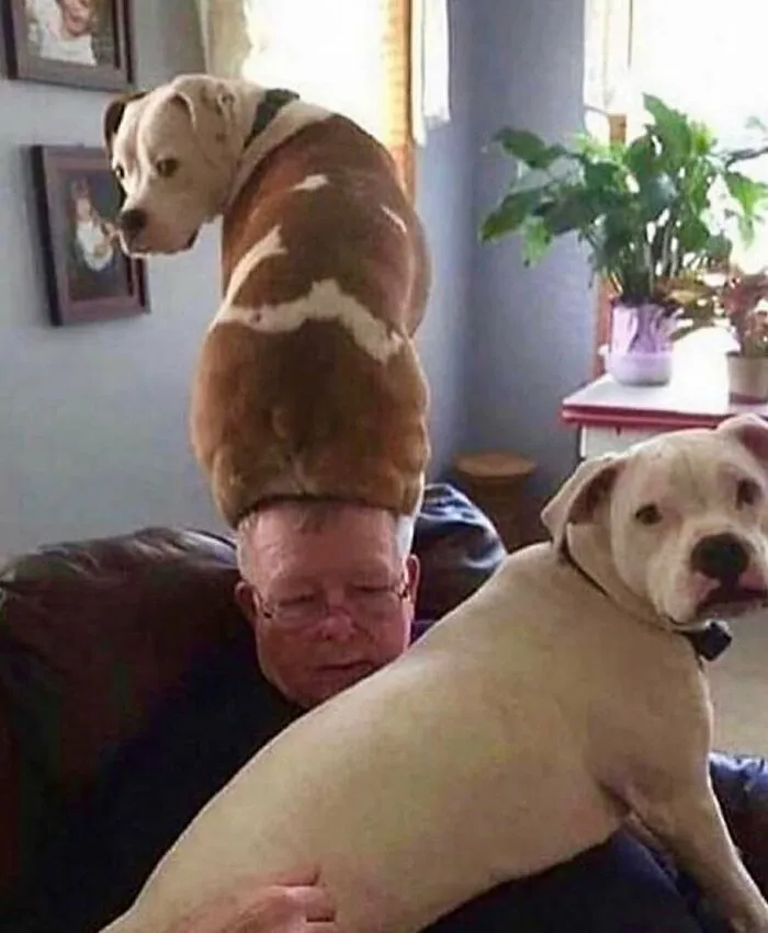 30 Posts That Hold A Lot Of Random Chaos Within, As Seen On This IG Page